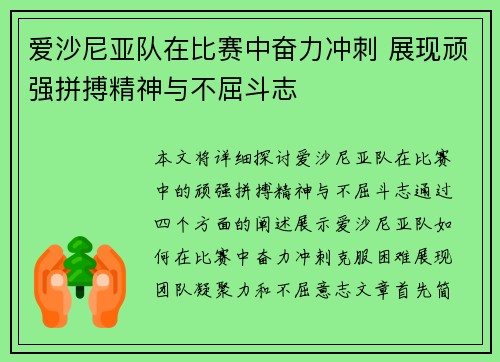 爱沙尼亚队在比赛中奋力冲刺 展现顽强拼搏精神与不屈斗志
